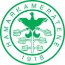 HamKam logo