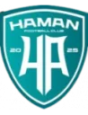 Haman logo