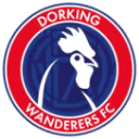 Dorking Wanderers logo