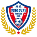 Hubei Istar logo