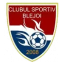 Blejoi logo
