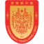 Chongqing Tongliang Long logo