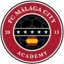 Malaga City logo