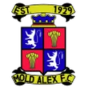 Mold Alexandra logo