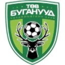 Central Stallions logo