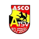Wolfsberg logo