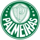 Sociedade Esportiva Palmeiras U20 logo
