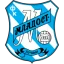 Mladost Lucani U19 logo
