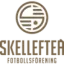 Skellefteå logo