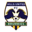 Hills Brumbies logo