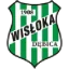 Wisłoka Dębica logo
