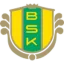 Bollstanäs logo