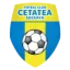 Cetatea Suceava logo