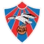 Valur Reykjavik logo