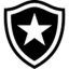 Botafogo U20 logo