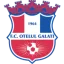 FC Oţelul II logo
