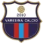 Varesina logo