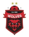Wollongong Wolves logo