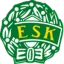 Enköping logo