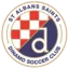 St. Albans Saints logo