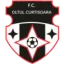 Oltul Curtişoara logo