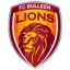 Bulleen Lions logo