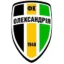 Oleksandria U19 logo