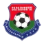 Baranovichi logo
