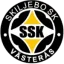 Skiljebo logo