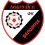 Belshina logo