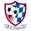 Ştefăneşti logo