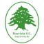 Boavista U20 logo