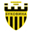 Bukovyna logo