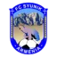 Syunik logo