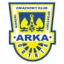 Arka Gdynia U19 logo
