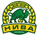 Sambir Nyva Ternopil II logo