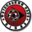 Dinaz Vyshhorod logo