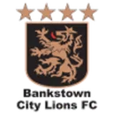 Bankstown City Lions logo