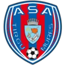 Targu Mures logo