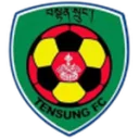 Tensung logo