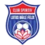 Sânmartin logo