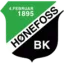 Hønefoss W logo