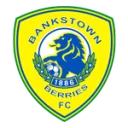 Canterbury Bankstown logo