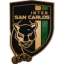 Inter San Carlos logo