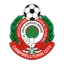 Campbelltown City logo