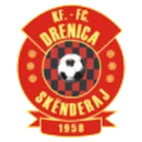 Drenica Skenderaj logo