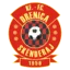 Drenica Skënderaj logo