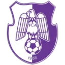 Arges Pitesti logo