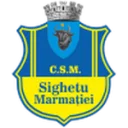 Sighetu Marmaţiei logo
