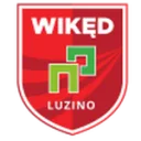 Luzino logo